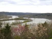 Bull Shoals lake at flood stage