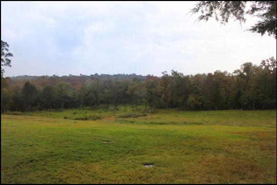 112 Acres with GFTL on Bull Shoals Lake
