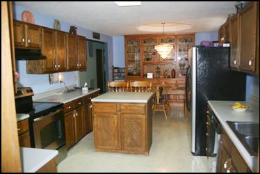 Lower level family room