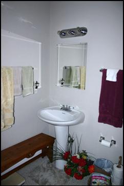 Lower Level bath