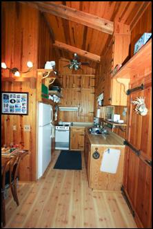 Kitchen with Knotty pine walls and ceiling