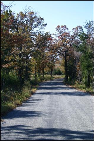 Frank Rea Road on the northern end of the property approximately 1 1/2 miles from US Hwy 160 in Missouri
