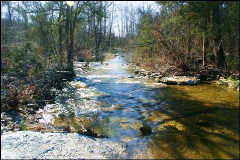 This Creek is adjacent to the Old Homestead