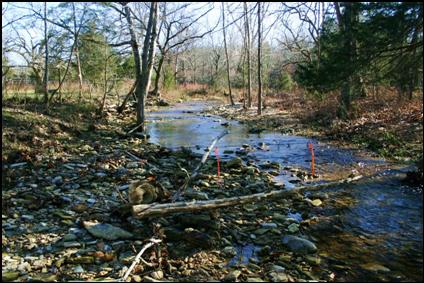 This is the smaller of the two creeks that join at the Old Homestead.  The Homestead and corrals are just off to the right in the picture.