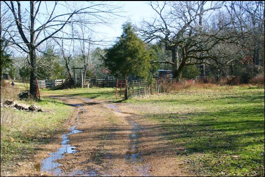 Corrals and barns of the Old Homestead.
Located adjacent to the creek.