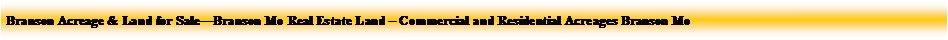 Text Box: Sue Andersen Realty