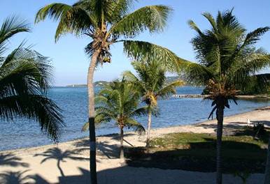 Sugar Beach Condo Unit 213