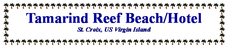 Text Box: Tamarind Reef Beach/Hotel
St. Croix, US Virgin Island