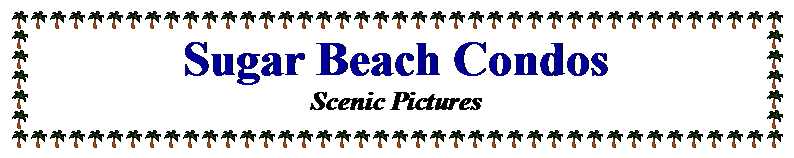 Text Box: Sugar Beach CondosScenic Pictures